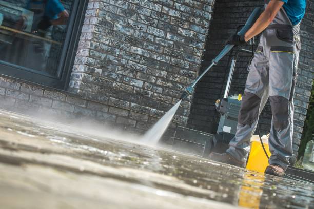 Professional Pressure Washing Services in Hilo, HI